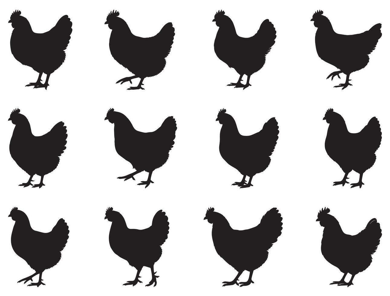 Chicken Silhouette white background vector