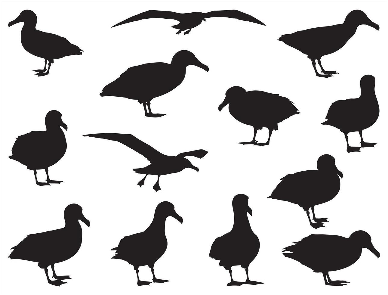 Albatross Birds Silhouette white background vector
