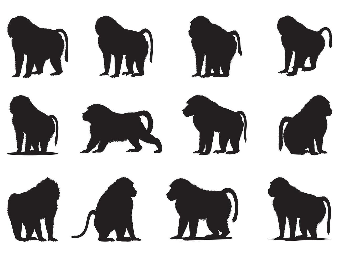 Baboons silhouette white background vector