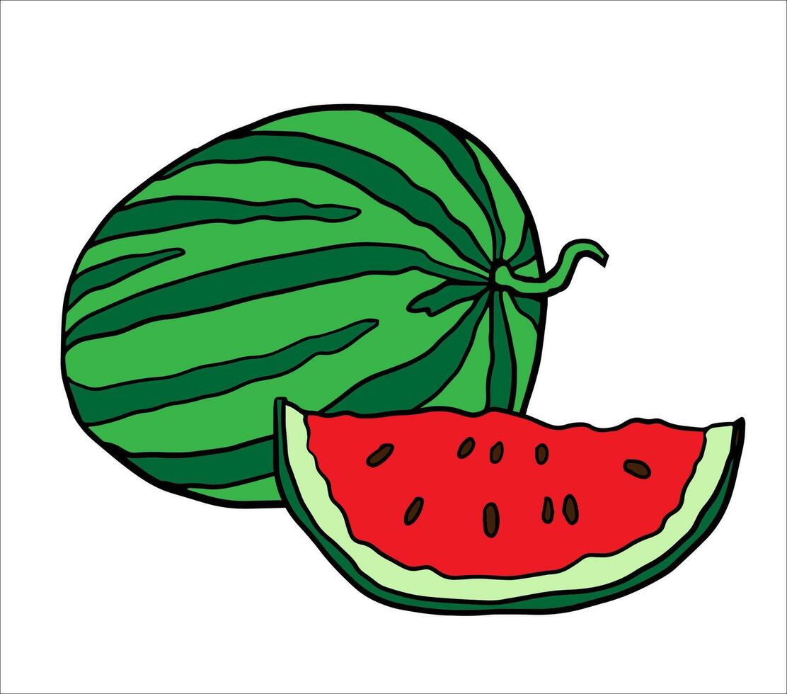 Bright watermelon illustration with a whole green-striped melon and a juicy red slice. Ideal for menu art, packaging labels, summer banners, social media graphics. vector