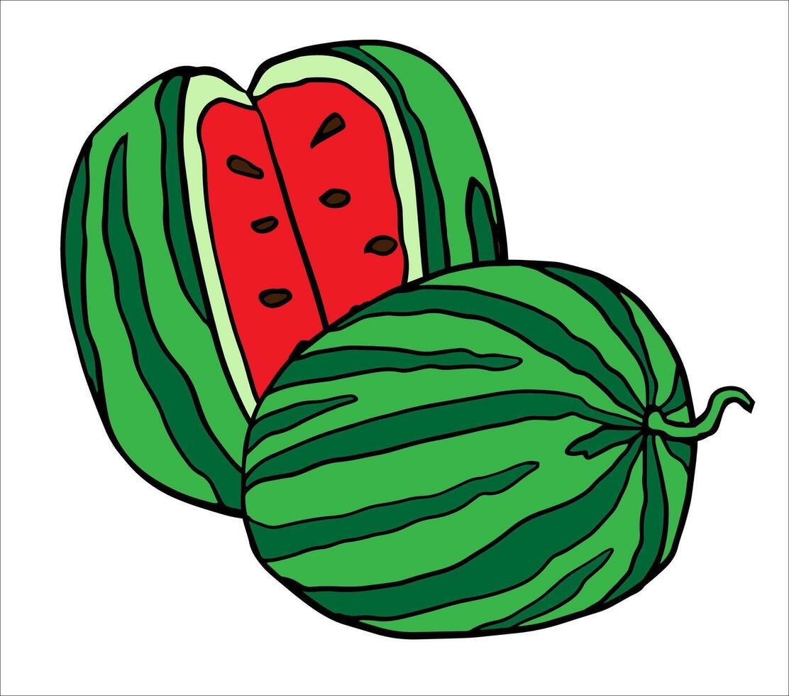 Striped watermelon with vertical cut and whole melon. Colorful hand drawn illustrations collection for summer themes, food icons, recipes, prints or children's designs. vector
