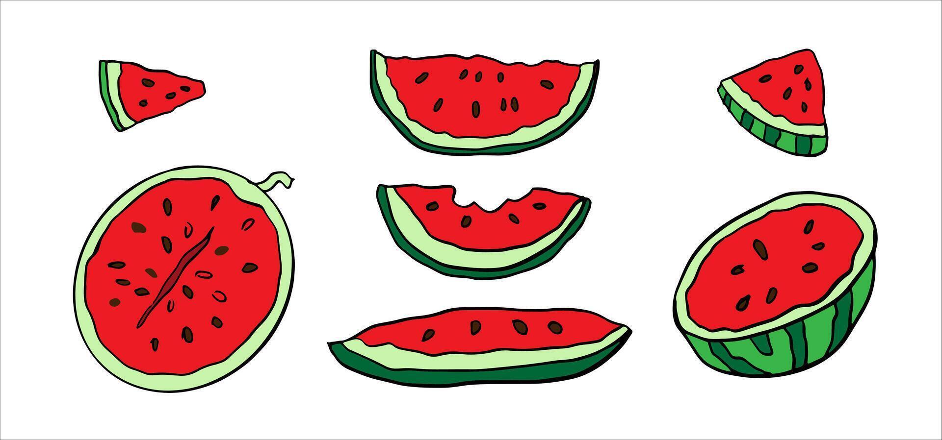 Watermelon halves, slices, pieces with seeds, Colorful hand drawn illustrations collection. Perfect for summer themes, food icons, recipes, prints or kids designs. vector