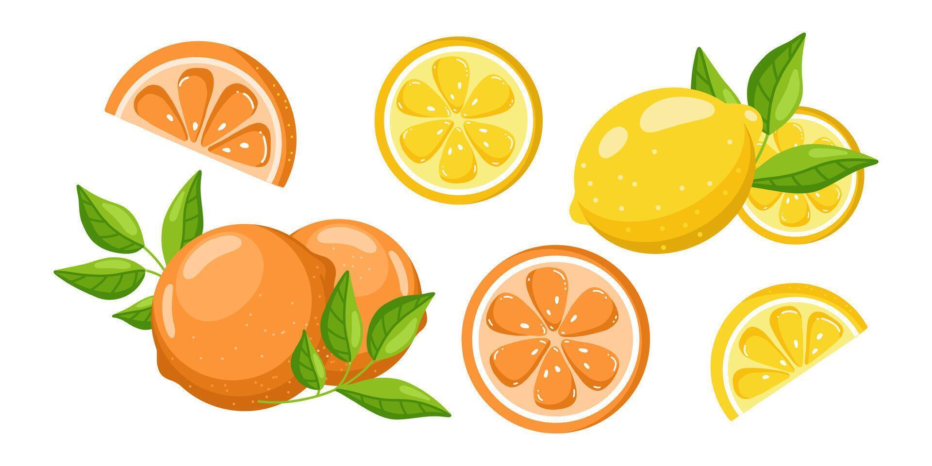 Flat cartoon style illustration of whole, halved, and sliced oranges and lemons, isolated on a white background. Bright citrus fruits in a playful design. vector