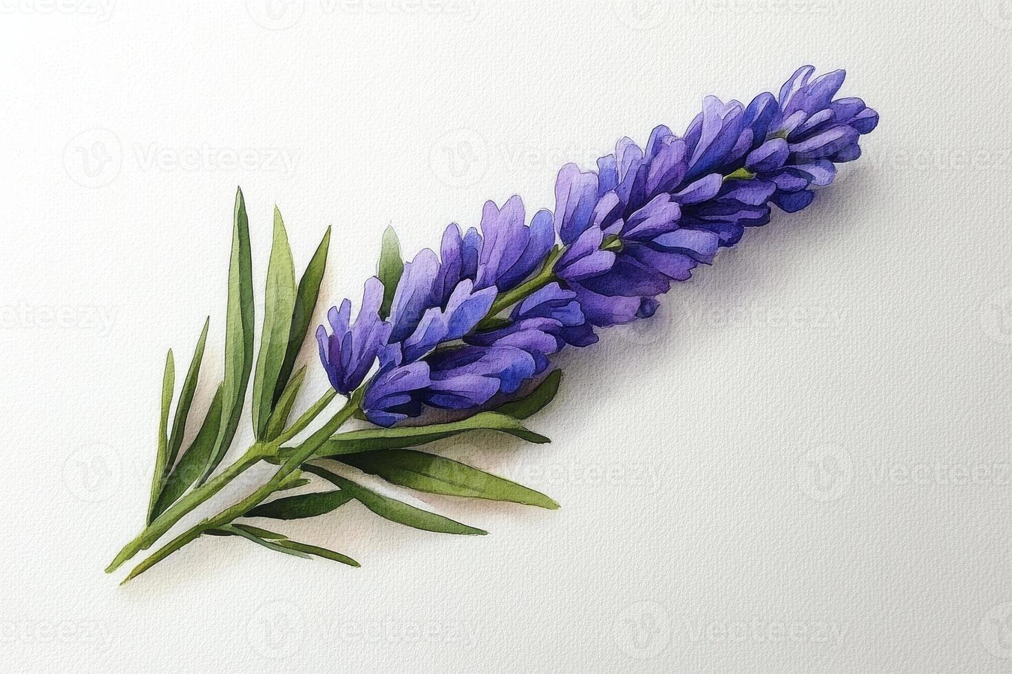 Purple Flower Stem on White Textured Background photo