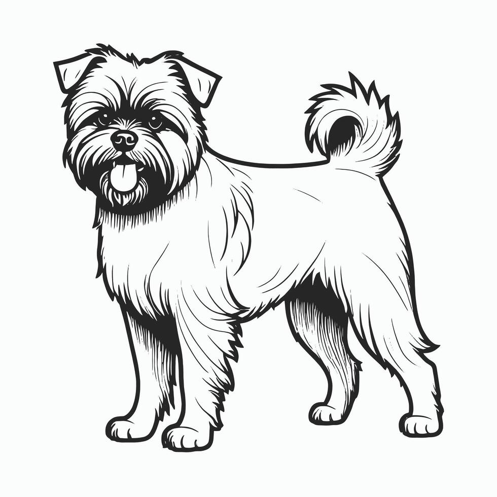 Shih tzu dog coloring page vector