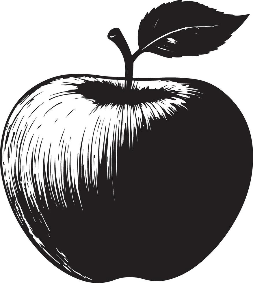 Black and white illustration of an apple vector