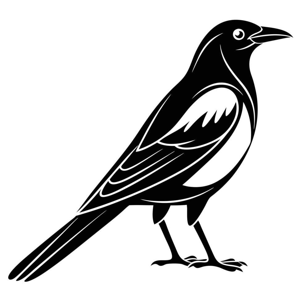 Black and white magpie silhouette vector