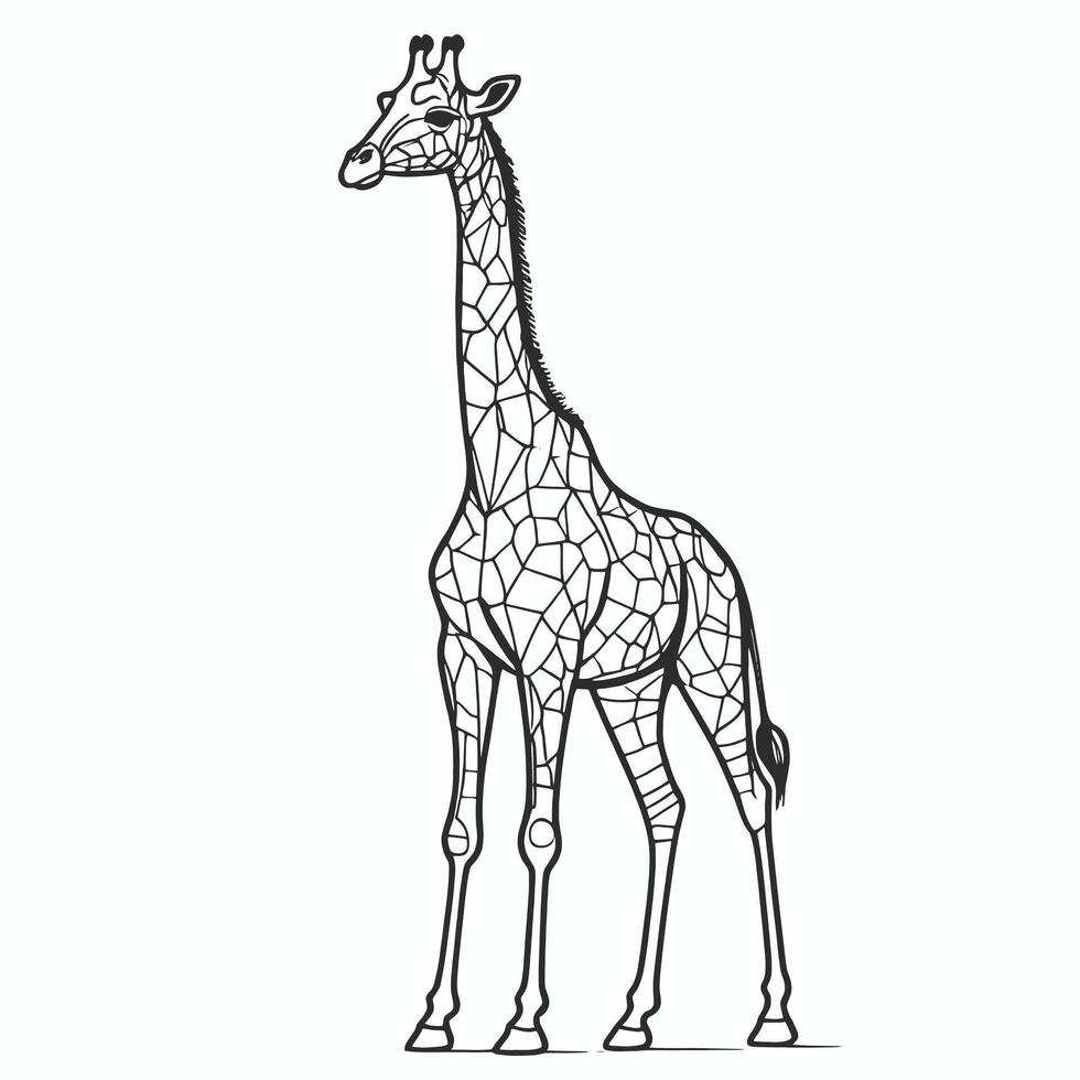 A giraffe is standing in a line drawing vector
