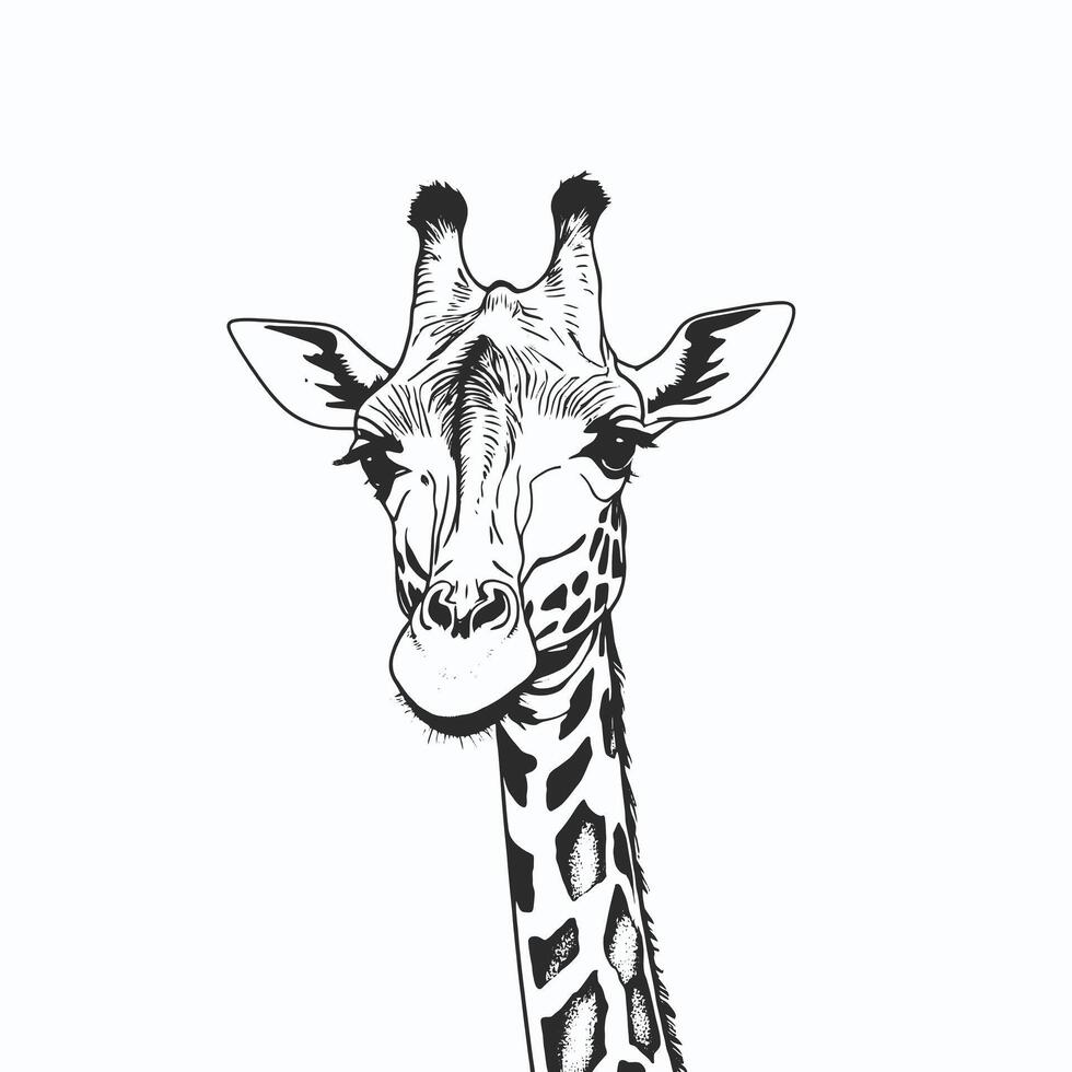 A drawing of a giraffe with a long neck vector