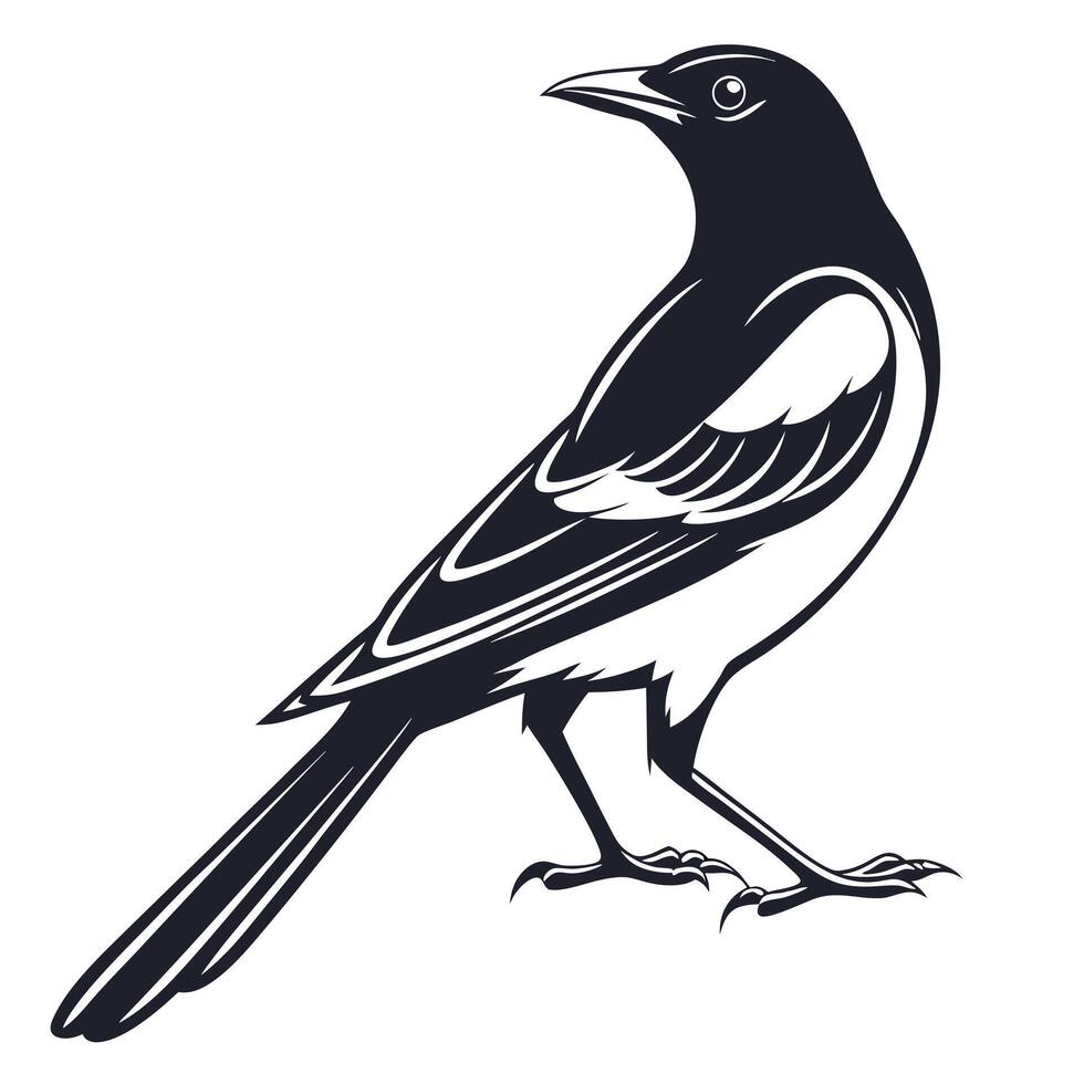 A black and white bird on a white background vector