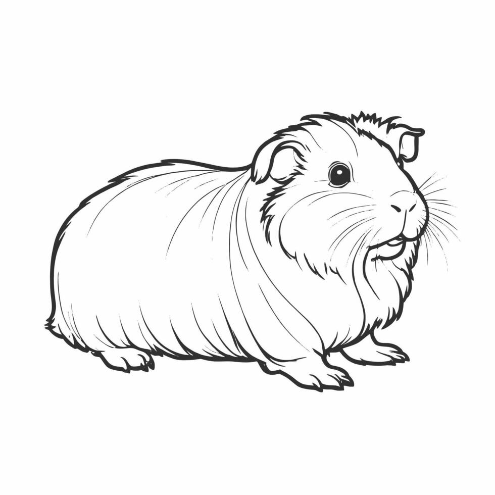 Guinea pig coloring pages for kids vector