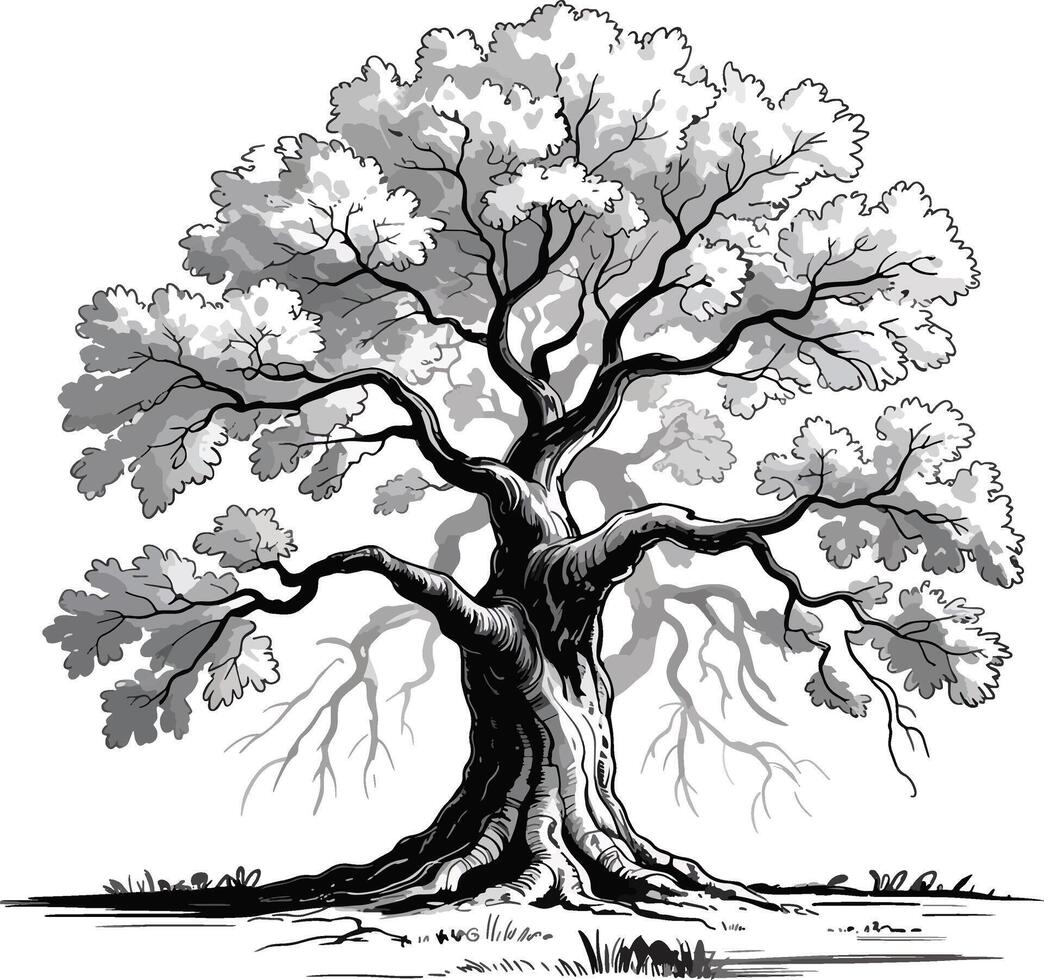 tree silhouette art premium quality vector