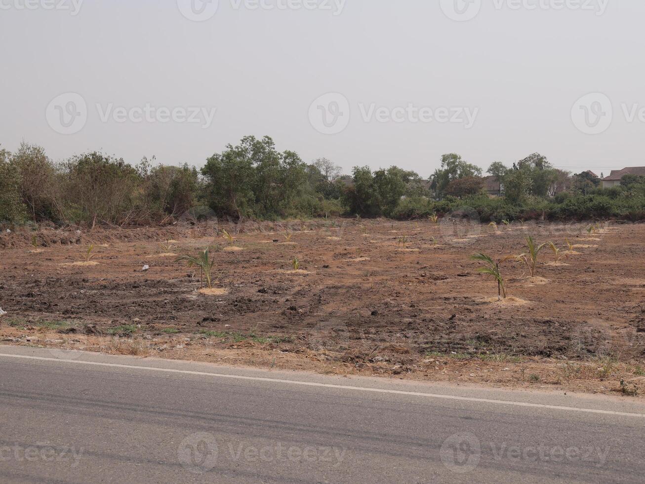 Cleared Area of Land Adjacent to a Roadside Prepared for Future Development Projects photo