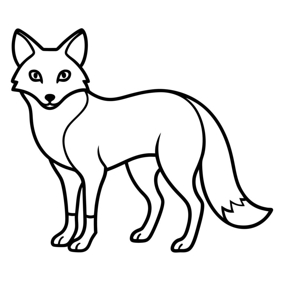 Line Drawing of a Standing Fox Illustration vector