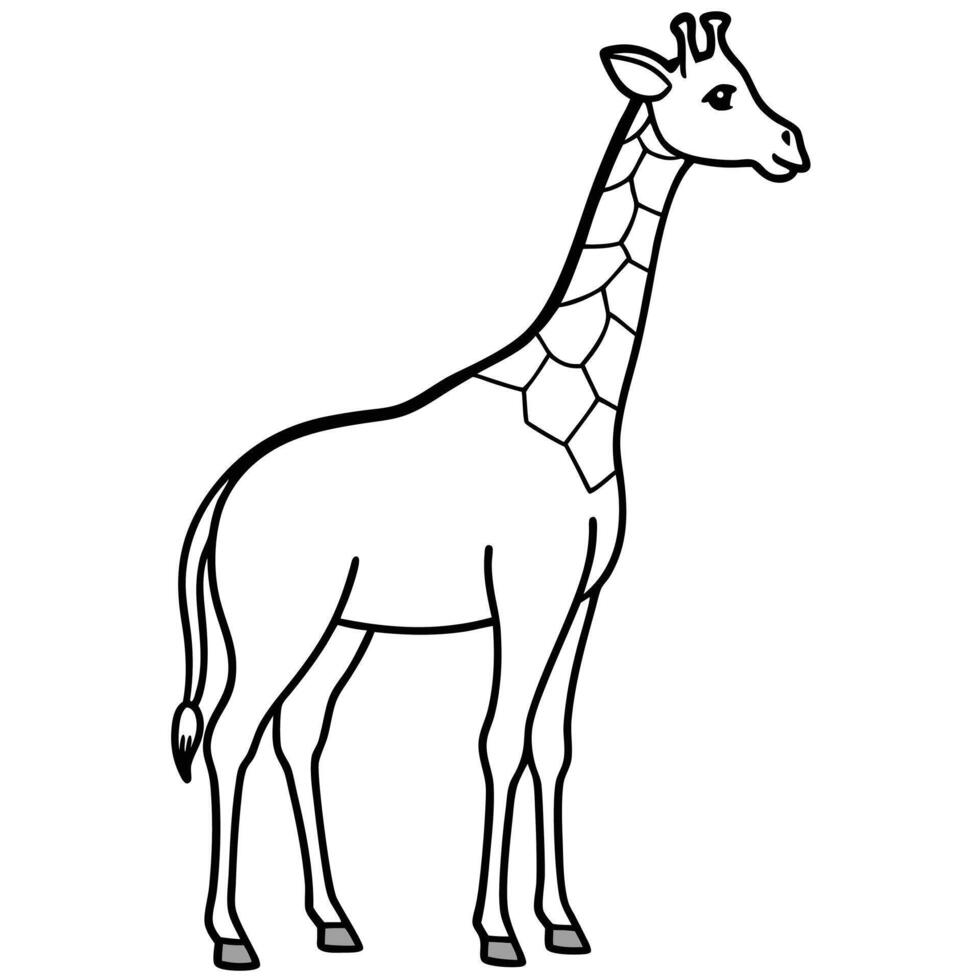 Simple Line Drawing of a Giraffe Standing vector