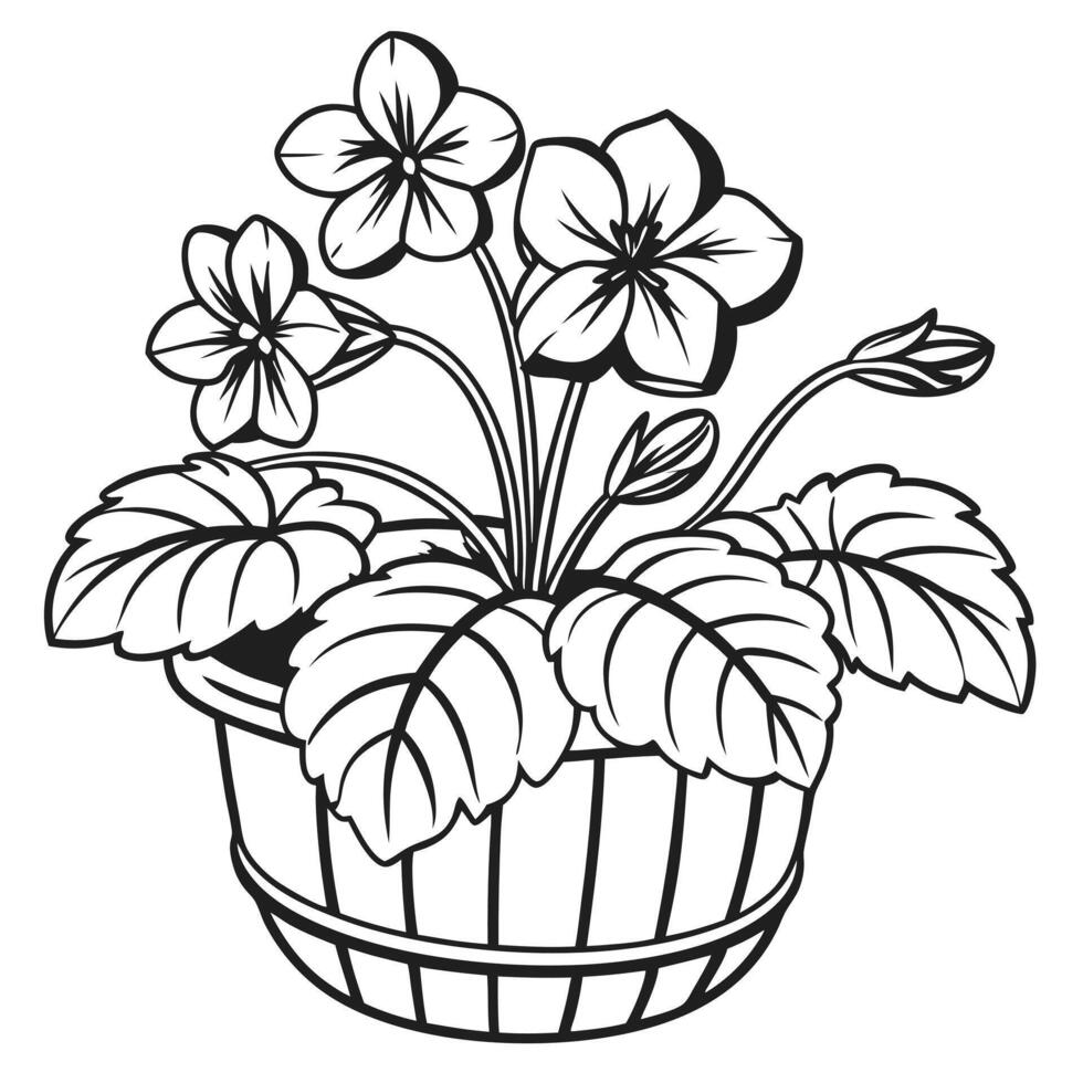 Black and White Illustration of African Violets in a Wooden Pot vector