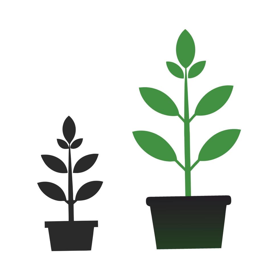 Plant Growth Stages Illustration Potted Plant vector