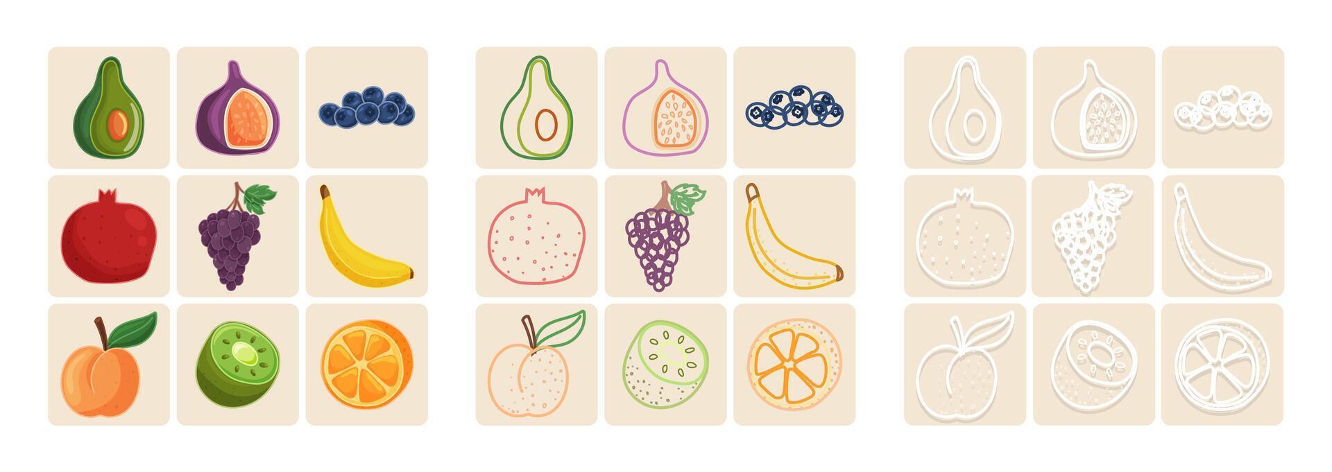 Colorful fruit icons in three stroke styles on beige background vector