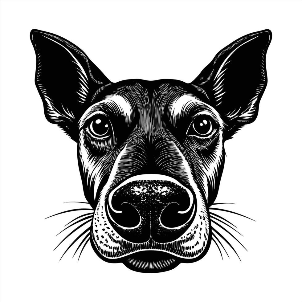 Dog head vectors
