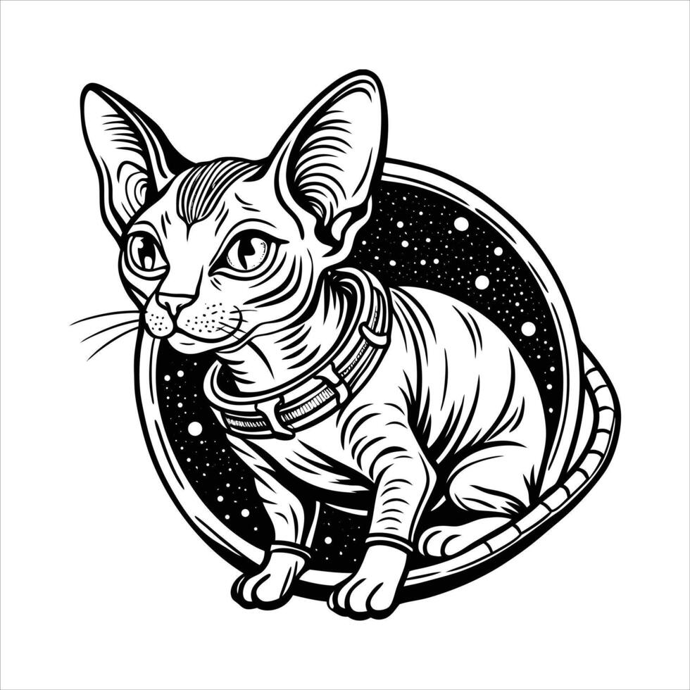 Space Cat Explorer vector