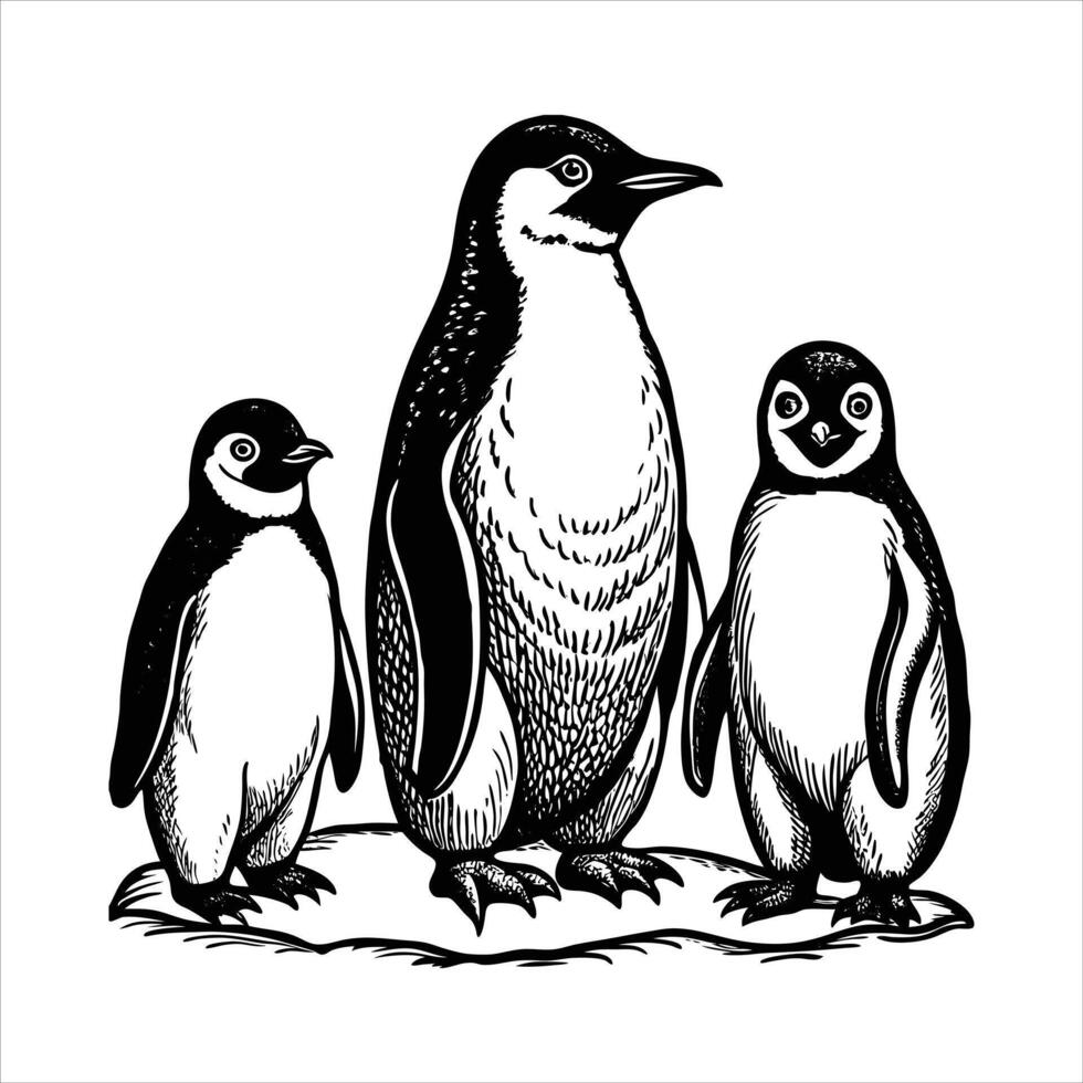 Emperor Penguin Family vector