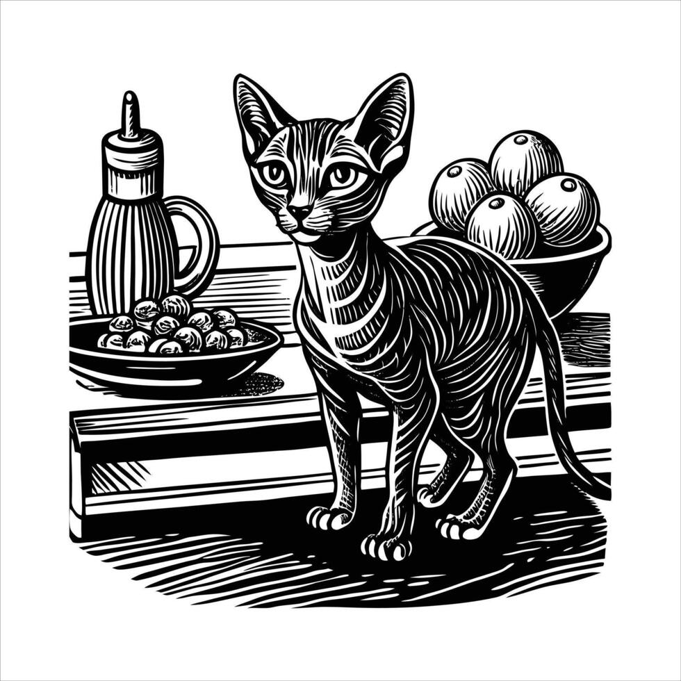 Cat On Counter vector