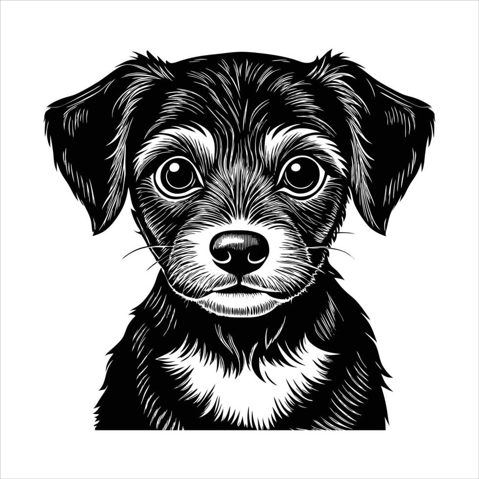 rendered dachshund head vector