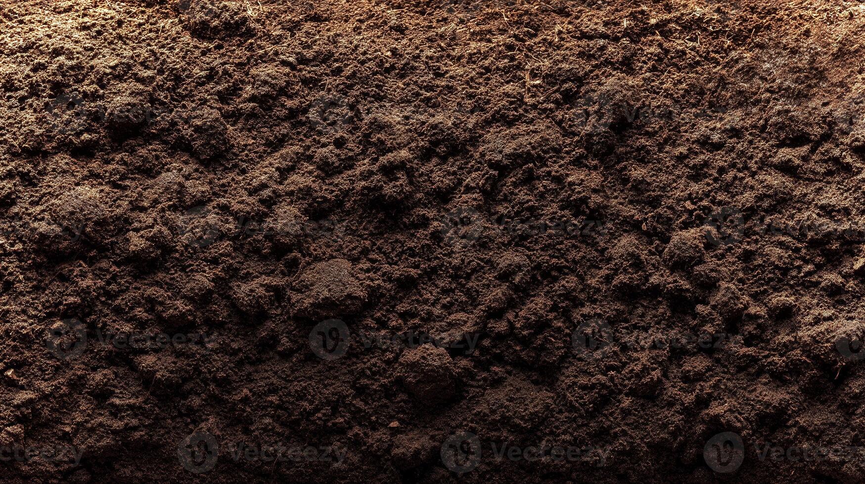 A close-up view of dark, rich soil with a variety of textures, highlighting its organic matter and eco-friendly characteristics. photo