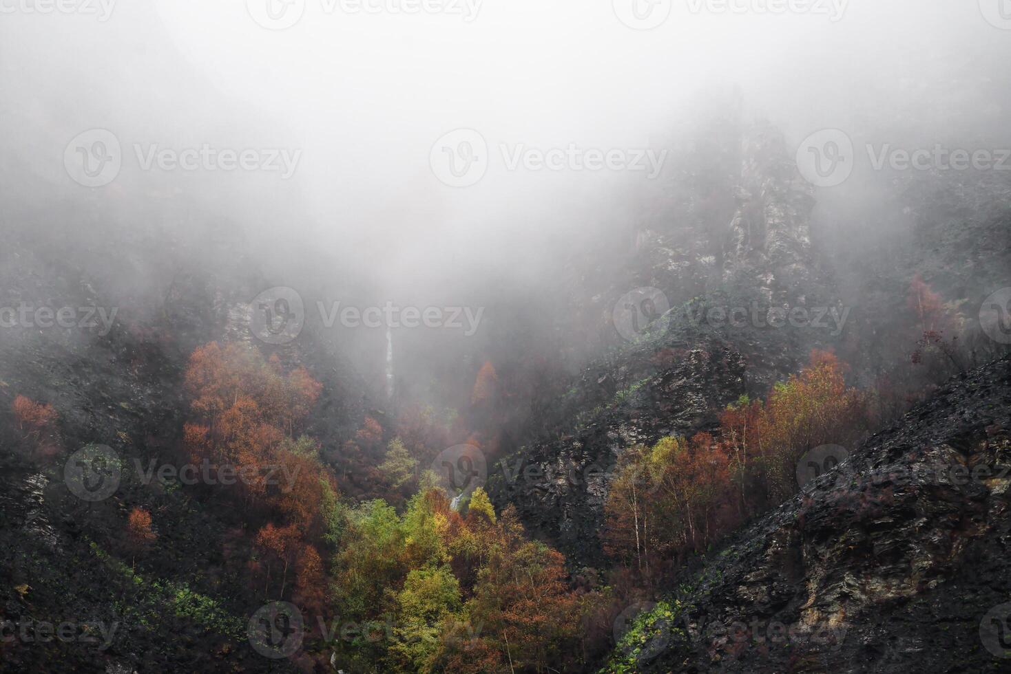 Dark tones among the mist reveal the devastation of a mountain fire photo