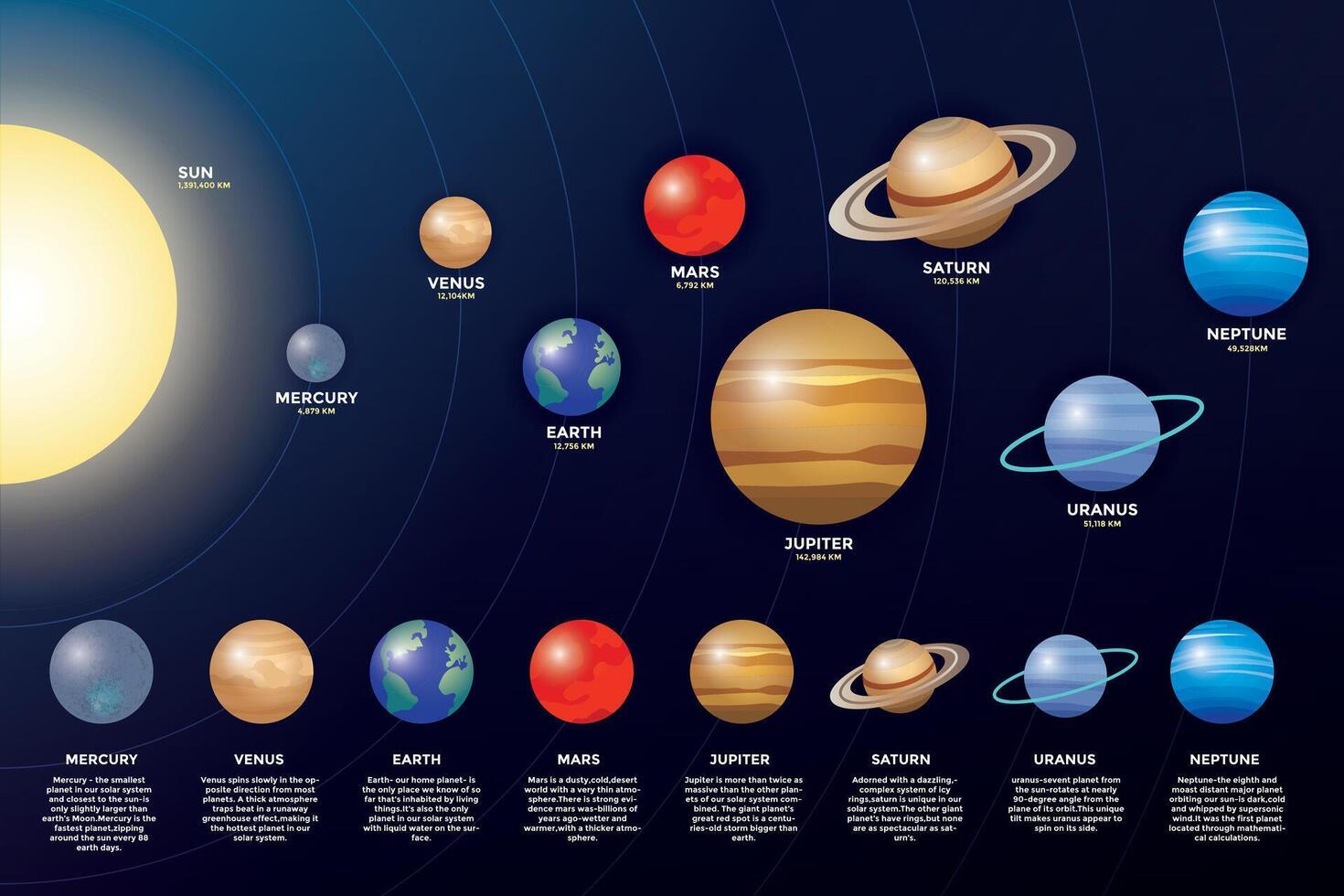 Planet in the solar system infographics flat style. Solar system for science education vector