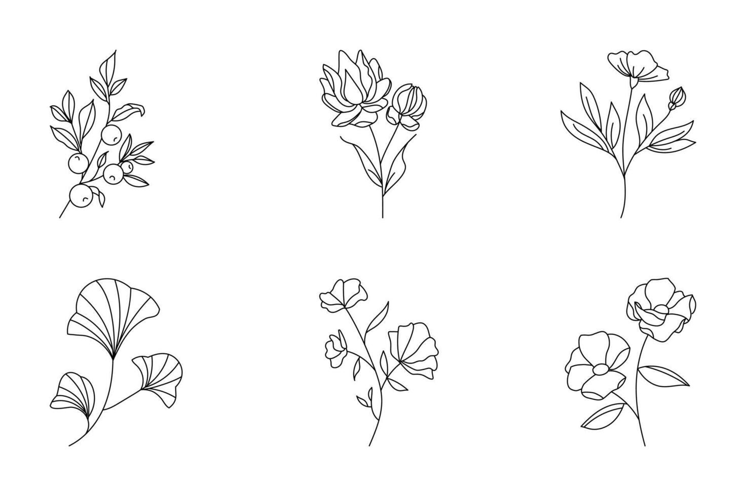 Floral set illustration with seamless flower and leaf pattern vector
