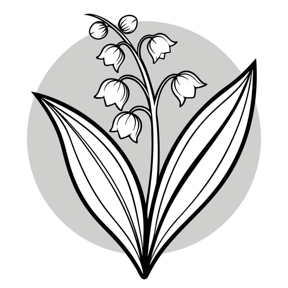 Oversized leafy Lily of the Valley bloom in stylized botanical drawing vector
