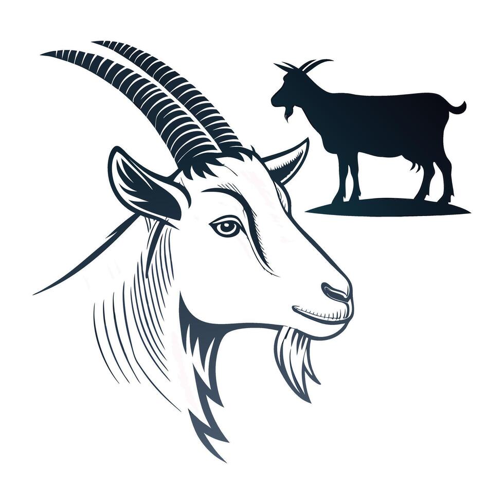Goat head and goat silhouette illustration vector