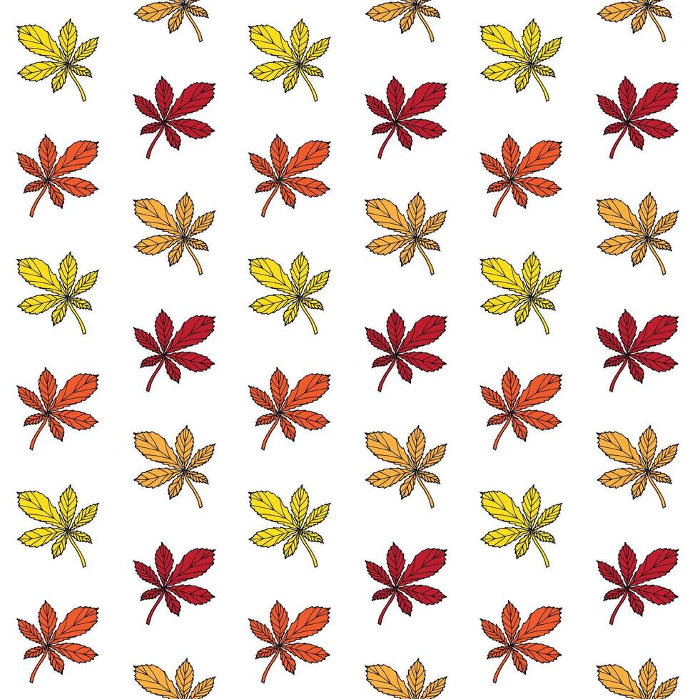 Seamless pattern of hand drawn doodle chestnut leaf vector