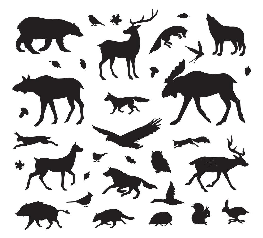 Set bundle of hand drawn doodle sketch wild forest animals isolated vector