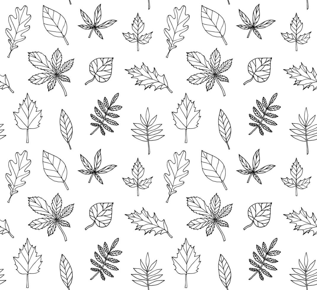 Seamless pattern of hand drawn doodle sketch leaves isolated on white background vector