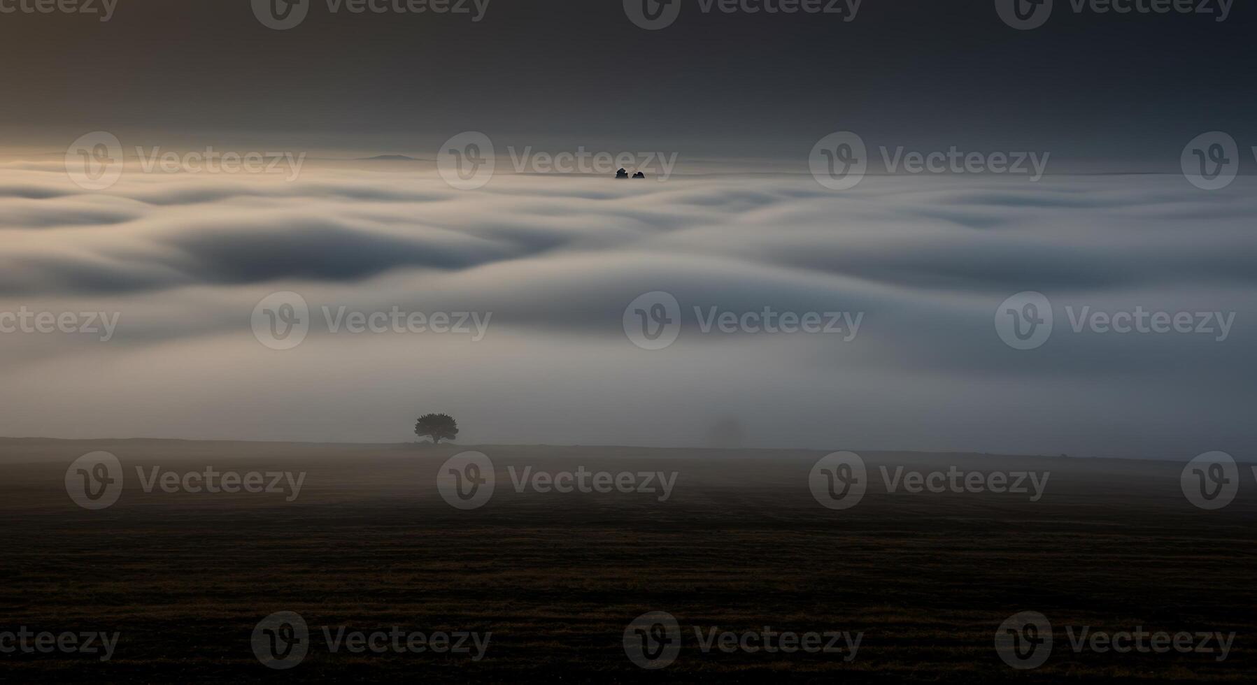 A lone tree is seen in the middle of a foggy field photo