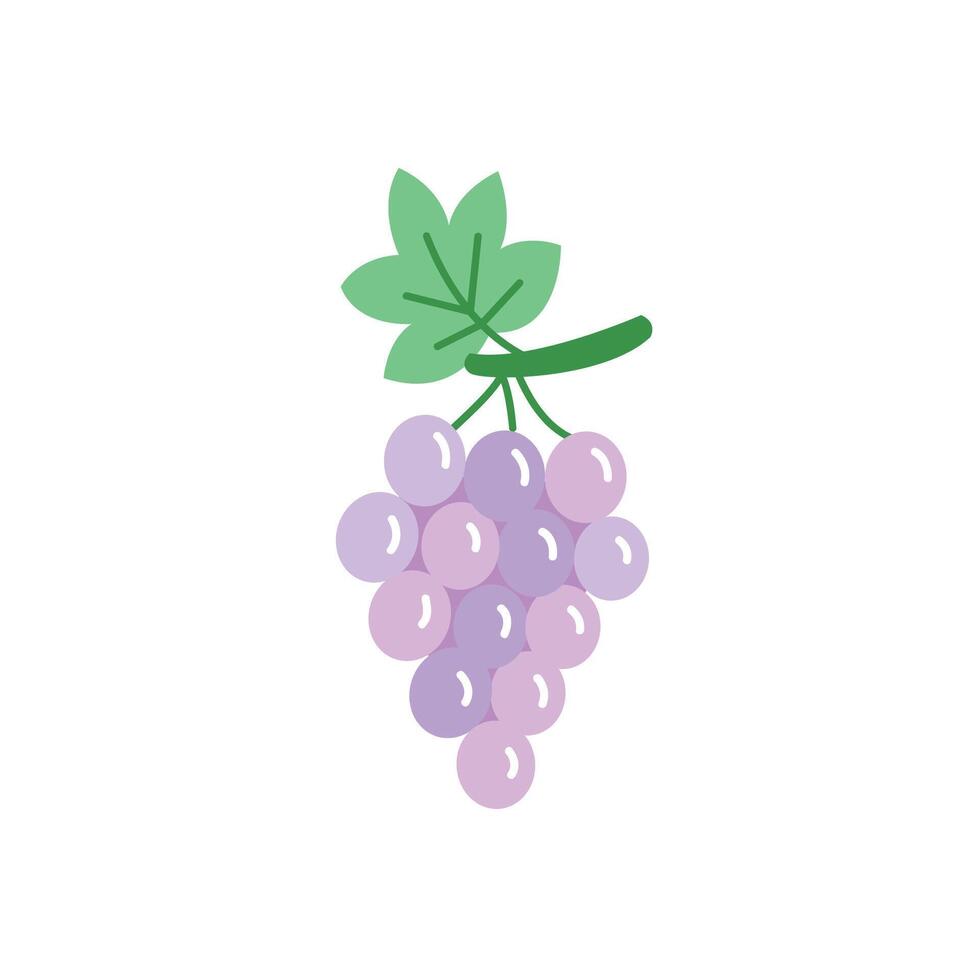 Cute hand drawn illustration of a bunch of grapes. Purple cartoon fruit with a fun and playful style. Great for kids designs, food projects and packaging. vector