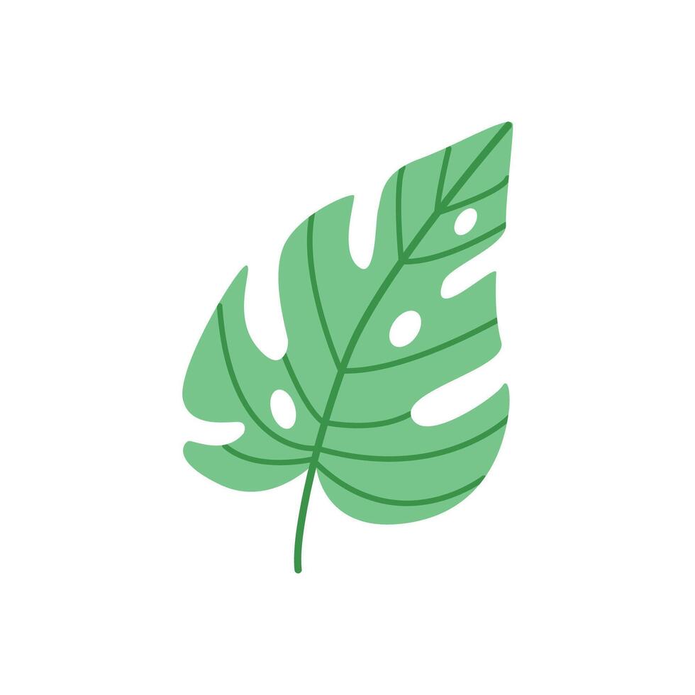 Cute hand drawn monstera leaf illustration on white background vector