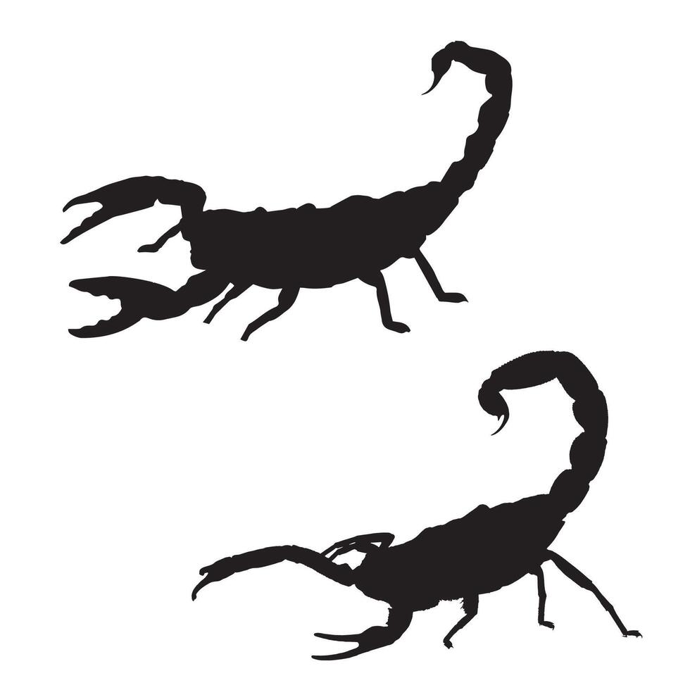 Scorpion Silhouette Illustration vector