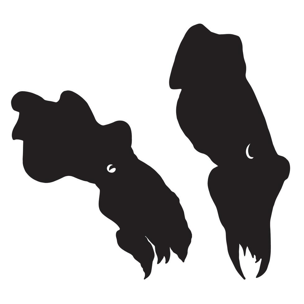 Two black silhouettes of a whale and a whale head vector