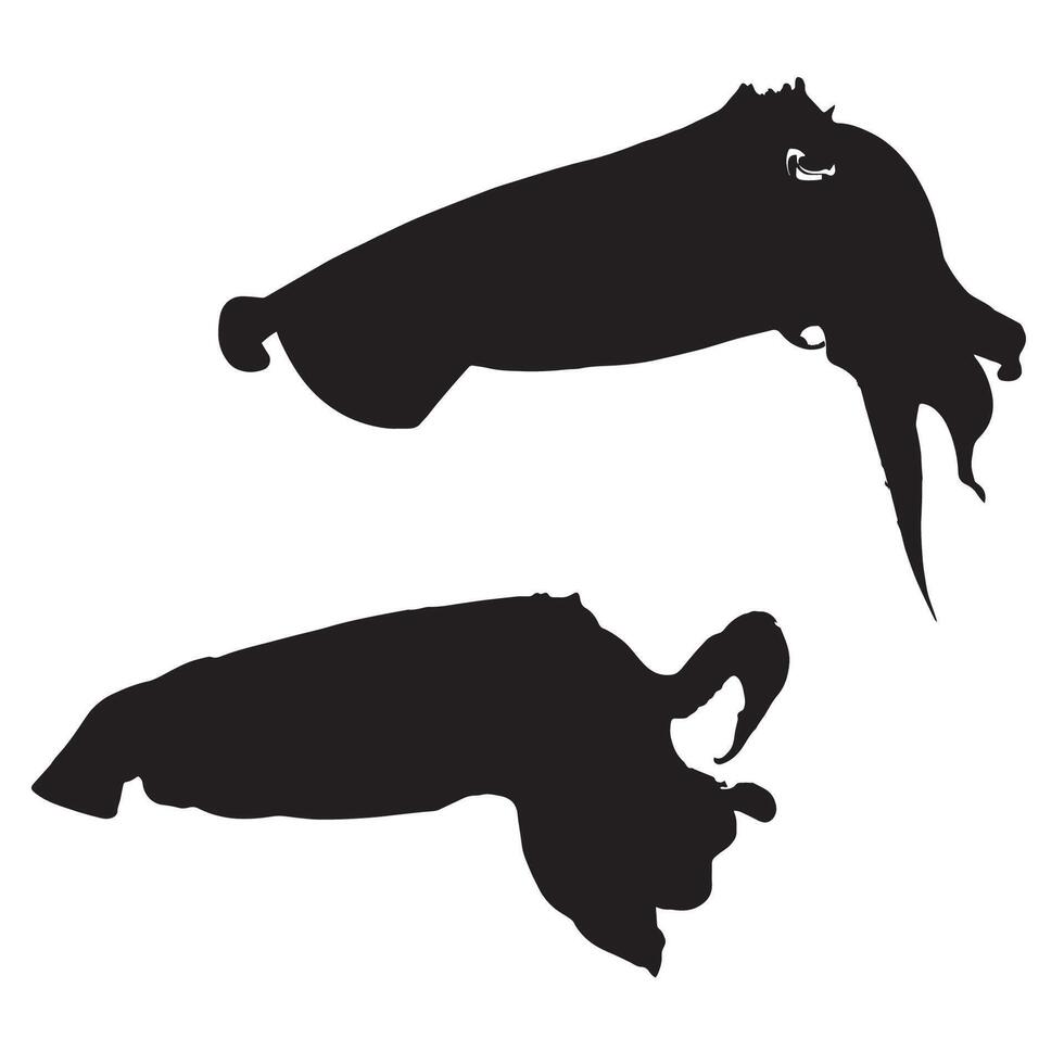 Silhouettes of a squid and octopus on a white background vector