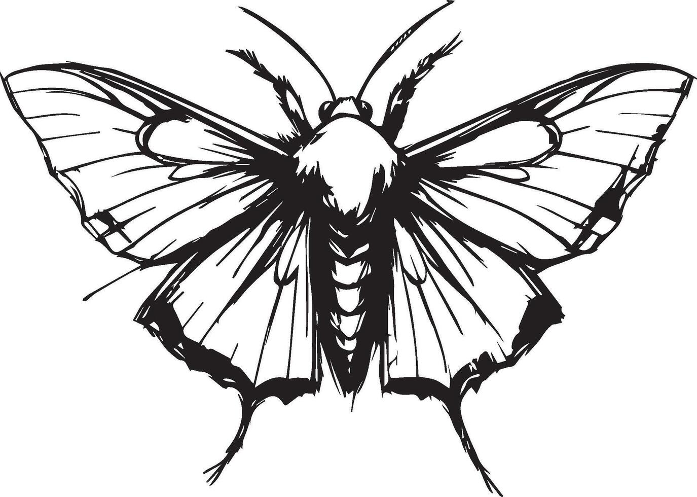 A beautiful black butterfly vector