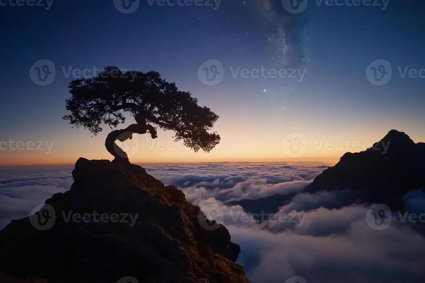 A lone tree on top of a mountain at sunset photo