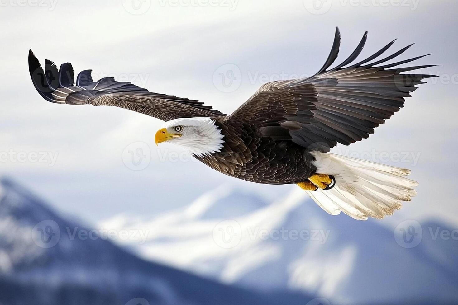 A bald eagle flying over a mountain range photo