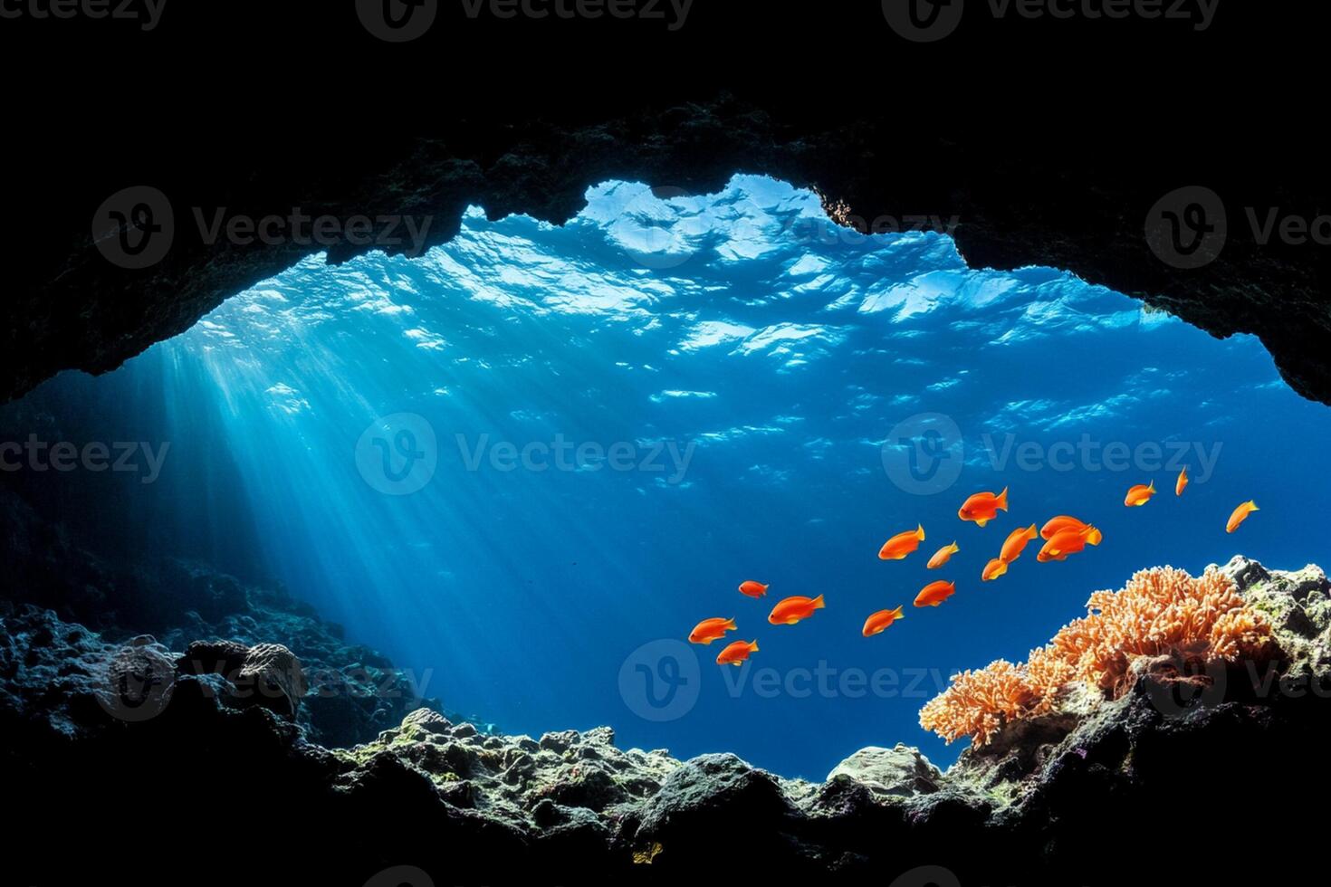 An underwater cave with fish swimming in it photo