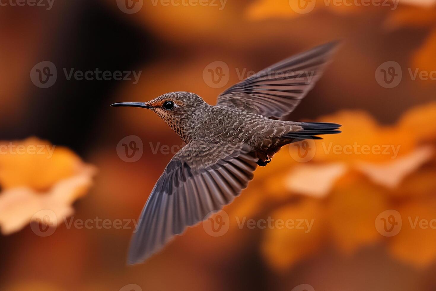 A hummingbird flying through the air with leaves in the background photo