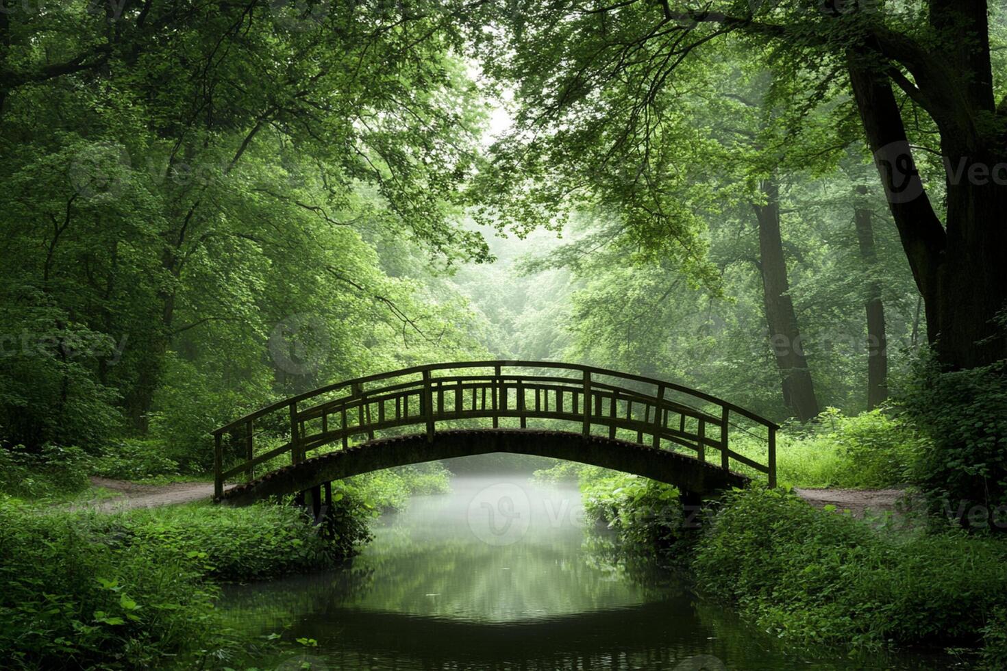 A bridge in the middle of a green forest photo
