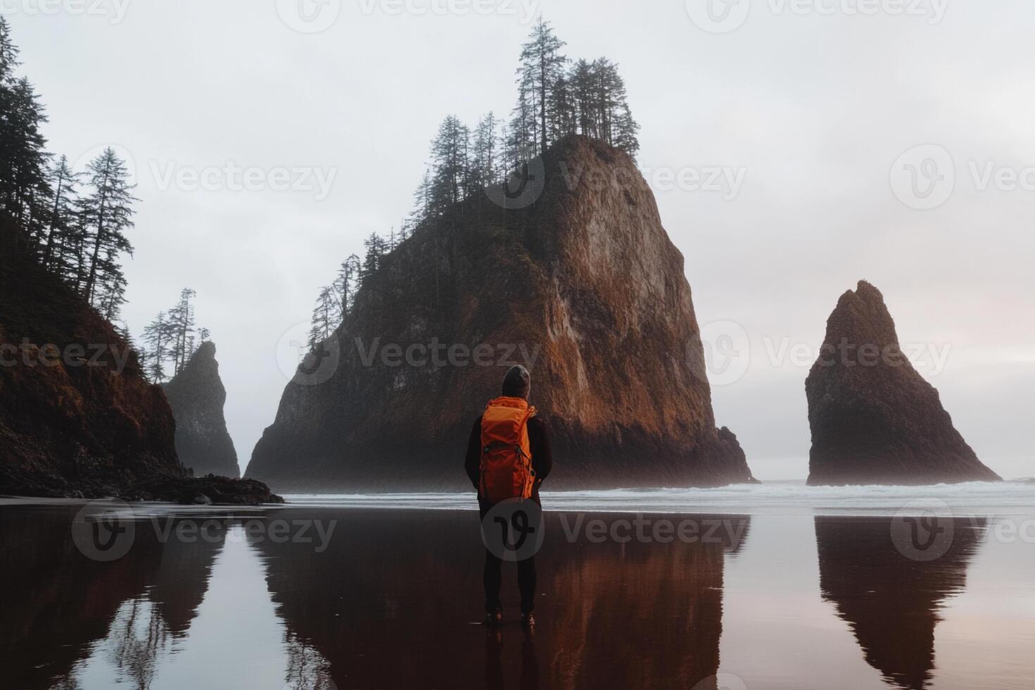 A person standing on the beach with a backpack photo