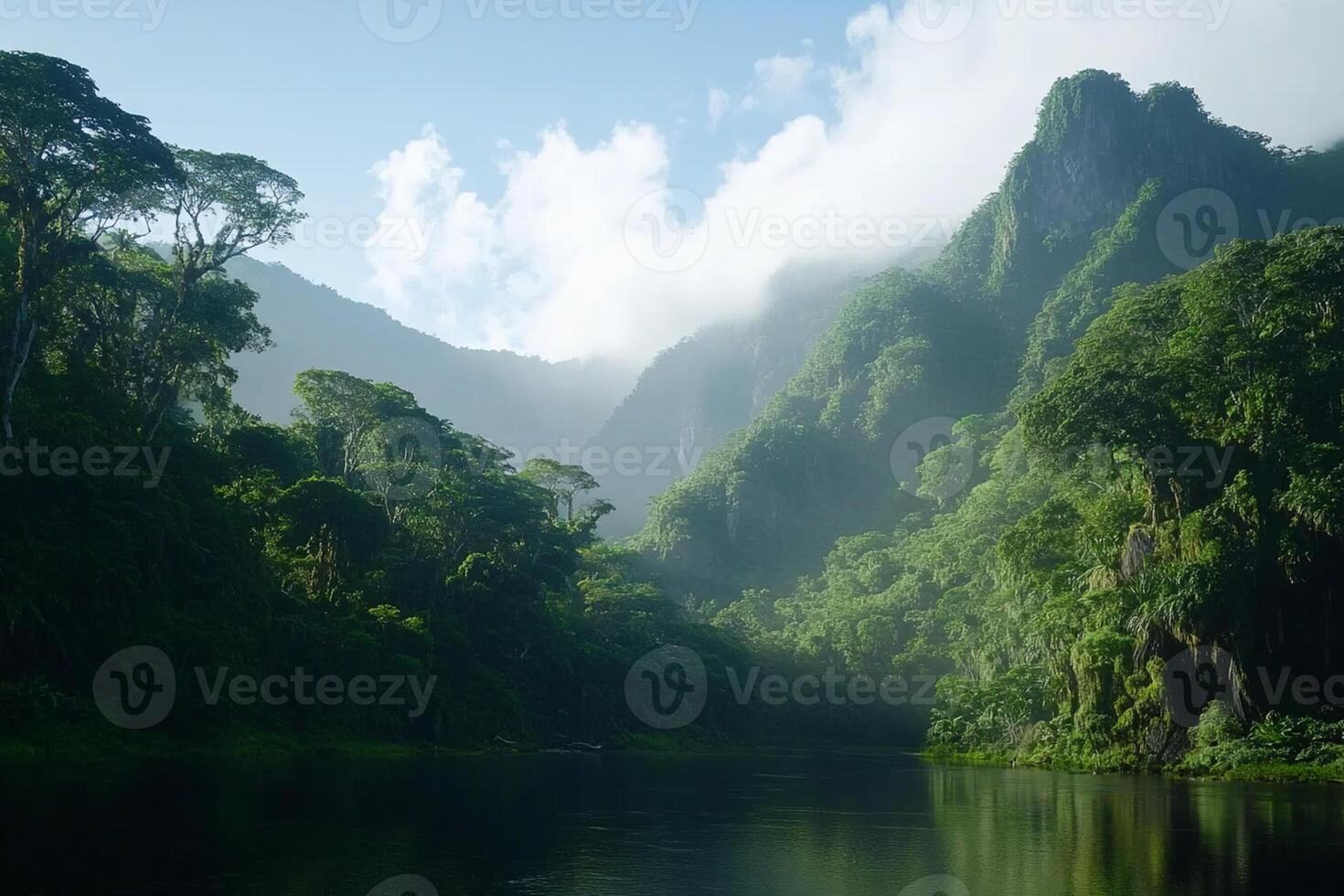 A river in the jungle with mountains in the background photo